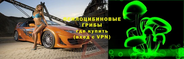 экстази Белокуриха