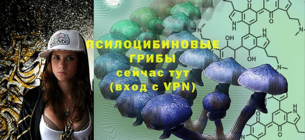 apvp Белоозёрский