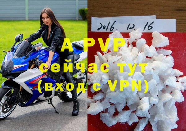 экстази Белокуриха