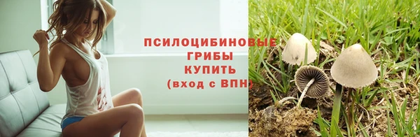 apvp Белоозёрский